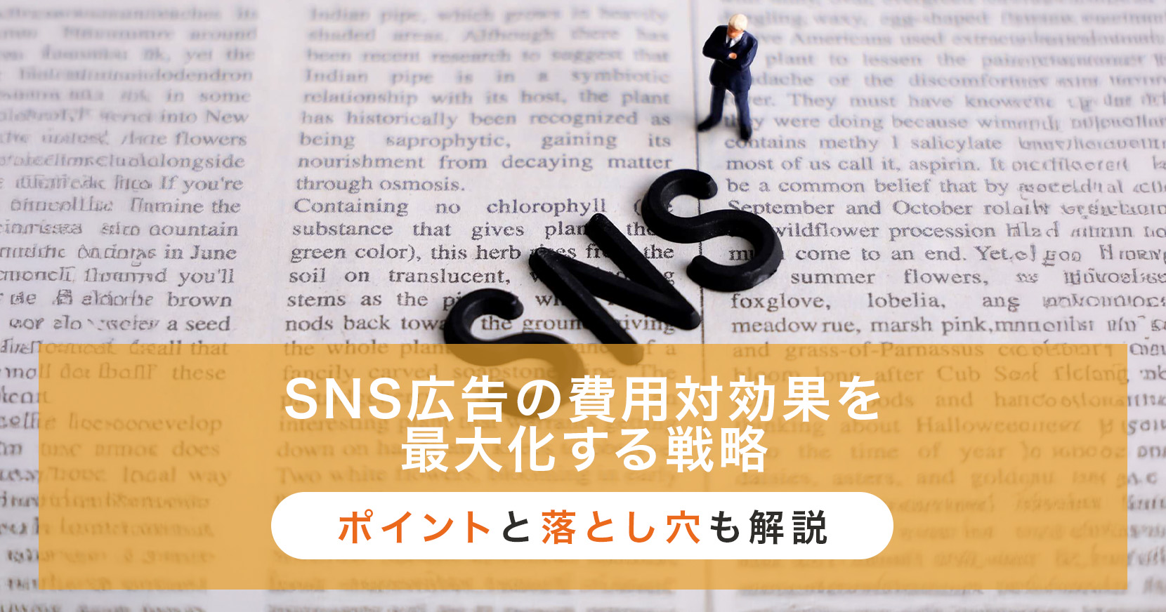 sns広告 費用対効果